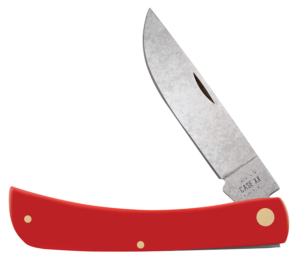 73933 (1) SOD BSTR RED SYN SKINNER CS